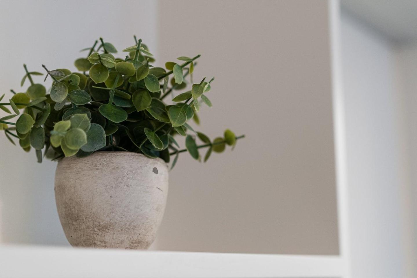 Appartamento Guestready - Bourse Boutique OOporto Esterno foto